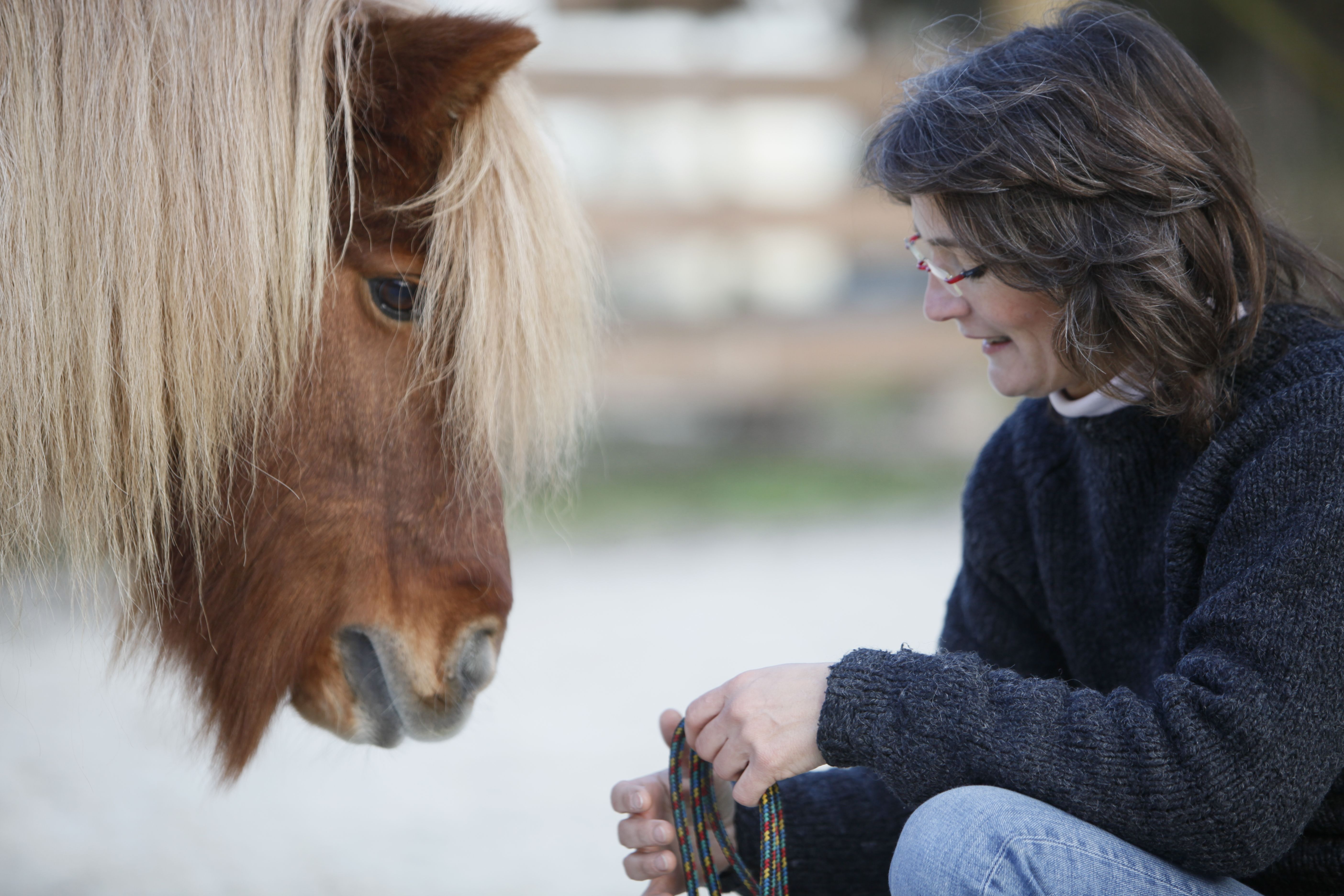 ZentAura-Reiten - ZentAura - Körper im Dialog - Petra Siegel